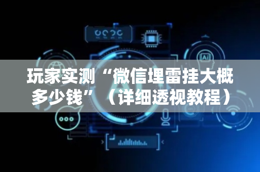 玩家实测“微信埋雷挂大概多少钱”（详细透视教程）-哔哩哔哩