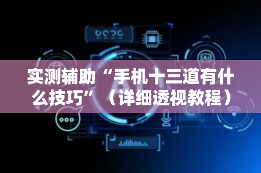 实测辅助“手机十三道有什么技巧”（详细透视教程）-哔哩哔哩