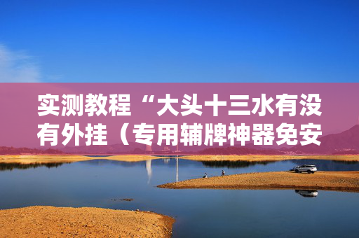 实测教程“大头十三水有没有外挂（专用辅牌神器免安装）