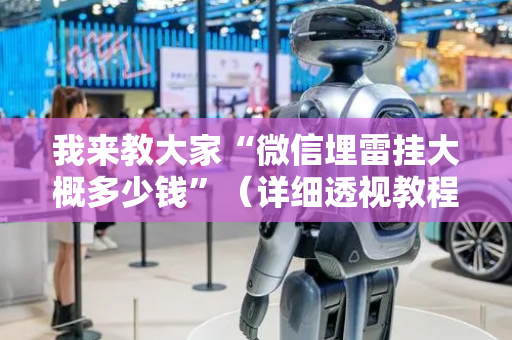我来教大家“微信埋雷挂大概多少钱”（详细透视教程）-哔哩哔哩