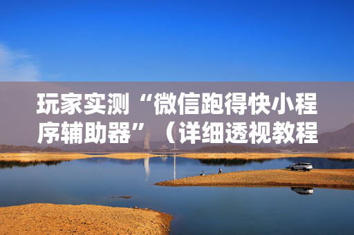 玩家实测“微信跑得快小程序辅助器”（详细透视教程）-哔哩哔哩