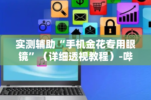 实测辅助“手机金花专用眼镜”（详细透视教程）-哔哩哔哩
