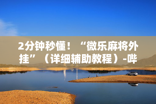2分钟秒懂！“微乐麻将外挂”（详细辅助教程）-哔哩哔哩