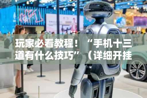 玩家必看教程！“手机十三道有什么技巧”（详细开挂教程）-哔哩哔哩