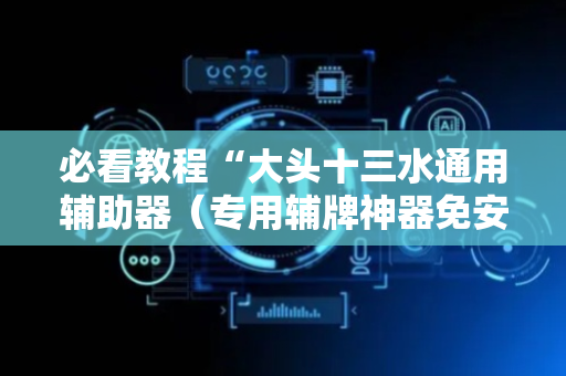必看教程“大头十三水通用辅助器（专用辅牌神器免安装）
