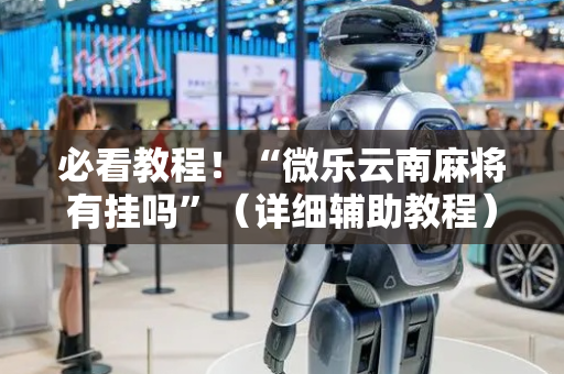 必看教程！“微乐云南麻将有挂吗”（详细辅助教程）-哔哩哔哩