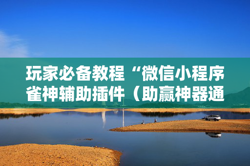 玩家必备教程“微信小程序雀神辅助插件（助赢神器通用版）