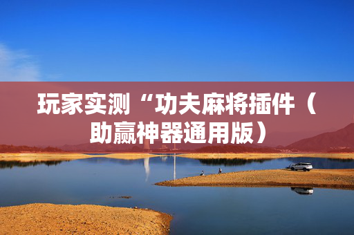 玩家实测“功夫麻将插件（助赢神器通用版）