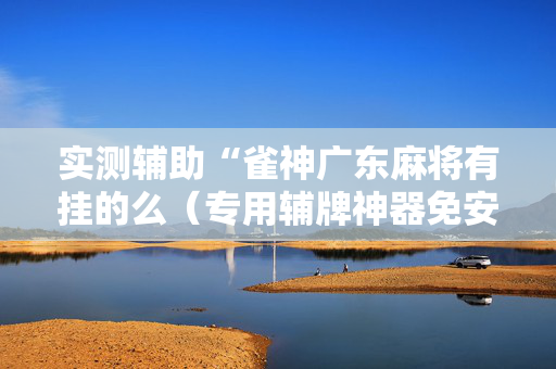 实测辅助“雀神广东麻将有挂的么（专用辅牌神器免安装）