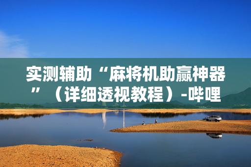 实测辅助“麻将机助赢神器”（详细透视教程）-哔哩哔哩