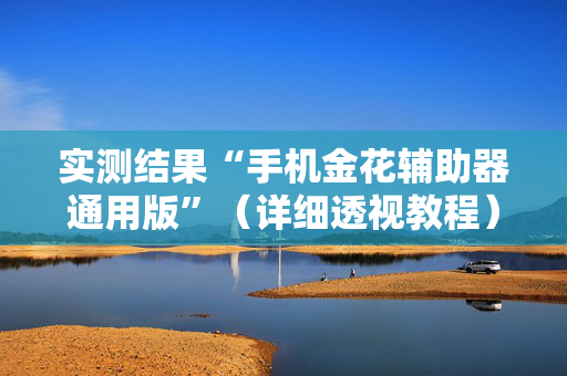 实测结果“手机金花辅助器通用版”（详细透视教程）-哔哩哔哩
