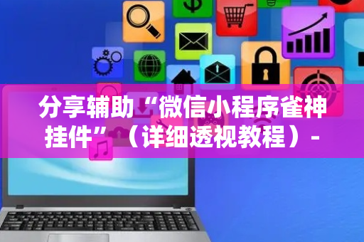 分享辅助“微信小程序雀神挂件”（详细透视教程）-哔哩哔哩