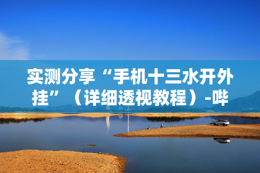 实测分享“手机十三水开外挂”（详细透视教程）-哔哩哔哩