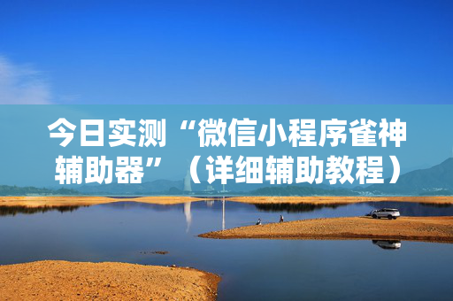 今日实测“微信小程序雀神辅助器”（详细辅助教程）-哔哩哔哩