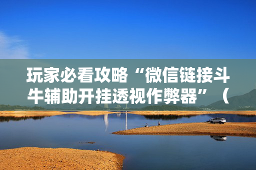 玩家必看攻略“微信链接斗牛辅助开挂透视作弊器”（详细透视教程）-哔哩哔哩