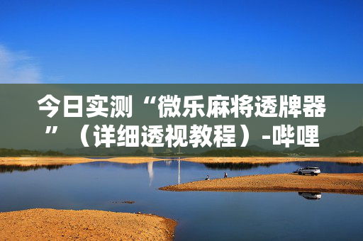 今日实测“微乐麻将透牌器”（详细透视教程）-哔哩哔哩