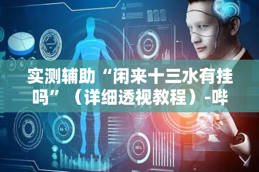 实测辅助“闲来十三水有挂吗”（详细透视教程）-哔哩哔哩