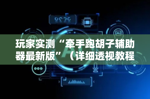 玩家实测“牵手跑胡子辅助器最新版”（详细透视教程）-哔哩哔哩