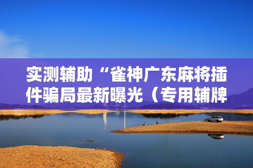 实测辅助“雀神广东麻将插件骗局最新曝光（专用辅牌神器免安装）