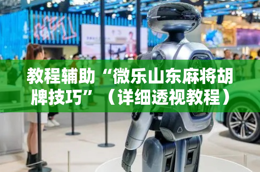 教程辅助“微乐山东麻将胡牌技巧”（详细透视教程）-哔哩哔哩