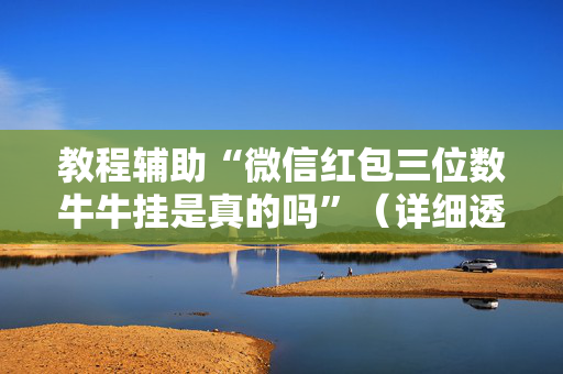 教程辅助“微信红包三位数牛牛挂是真的吗”（详细透视教程）-哔哩哔哩
