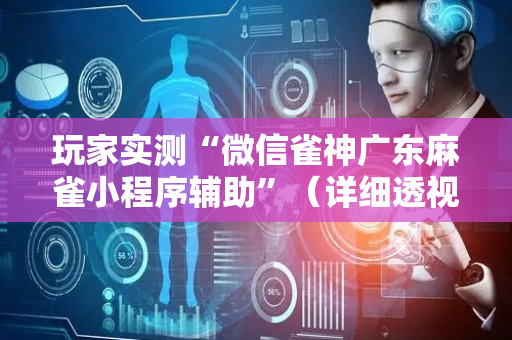 玩家实测“微信雀神广东麻雀小程序辅助”（详细透视教程）-哔哩哔哩