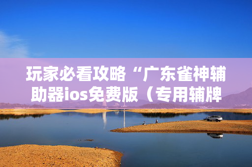 玩家必看攻略“广东雀神辅助器ios免费版（专用辅牌神器免安装）