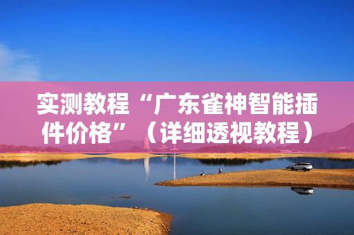 实测教程“广东雀神智能插件价格”（详细透视教程）-哔哩哔哩