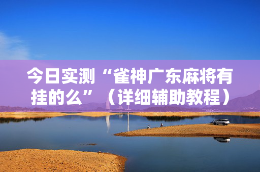 今日实测“雀神广东麻将有挂的么”（详细辅助教程）-哔哩哔哩