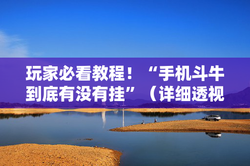 玩家必看教程！“手机斗牛到底有没有挂”（详细透视教程）-哔哩哔哩
