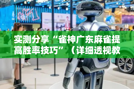 实测分享“雀神广东麻雀提高胜率技巧”（详细透视教程）-哔哩哔哩