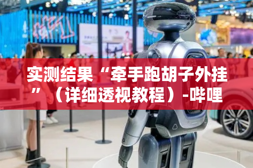 实测结果“牵手跑胡子外挂”（详细透视教程）-哔哩哔哩