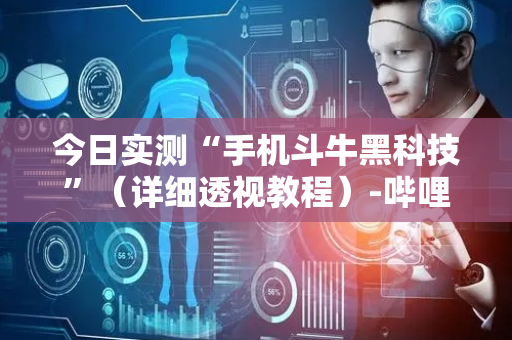 今日实测“手机斗牛黑科技”（详细透视教程）-哔哩哔哩