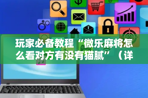 玩家必备教程“微乐麻将怎么看对方有没有猫腻”（详细透视教程）-哔哩哔哩