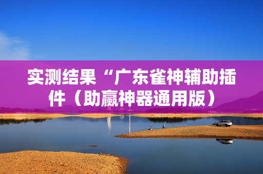 实测结果“广东雀神辅助插件（助赢神器通用版）