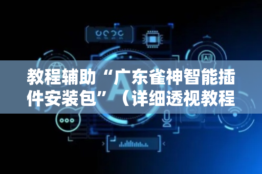 教程辅助“广东雀神智能插件安装包”（详细透视教程）-哔哩哔哩