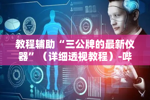 教程辅助“三公牌的最新仪器”（详细透视教程）-哔哩哔哩
