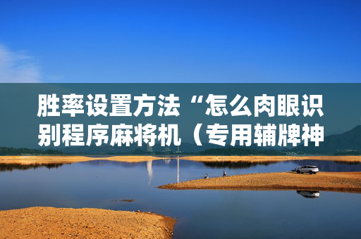 胜率设置方法“怎么肉眼识别程序麻将机（专用辅牌神器免安装）