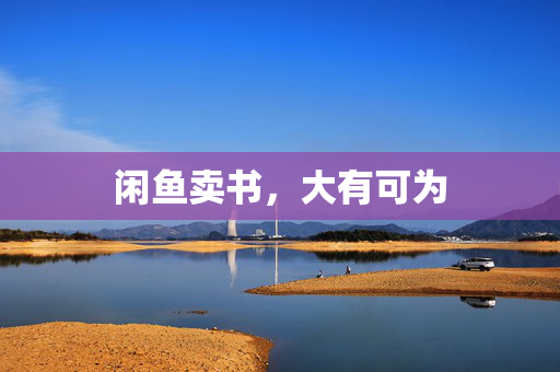 闲鱼卖书，大有可为