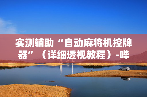 实测辅助“自动麻将机控牌器”（详细透视教程）-哔哩哔哩