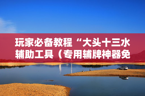 玩家必备教程“大头十三水辅助工具（专用辅牌神器免安装）
