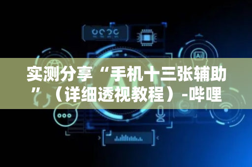实测分享“手机十三张辅助”（详细透视教程）-哔哩哔哩