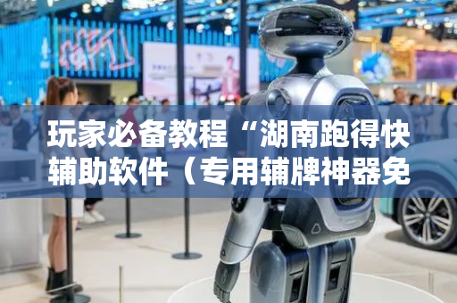 玩家必备教程“湖南跑得快辅助软件（专用辅牌神器免安装）