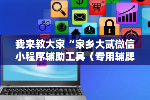我来教大家“家乡大贰微信小程序辅助工具（专用辅牌神器免安装）