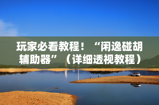 玩家必看教程！“闲逸碰胡辅助器”（详细透视教程）-哔哩哔哩