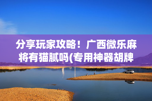 分享玩家攻略！广西微乐麻将有猫腻吗(专用神器胡牌技巧)