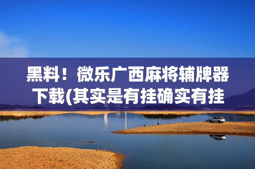 黑料！微乐广西麻将辅牌器下载(其实是有挂确实有挂)