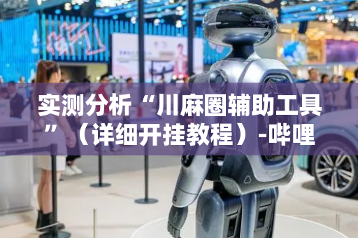 实测分析“川麻圈辅助工具”（详细开挂教程）-哔哩哔哩