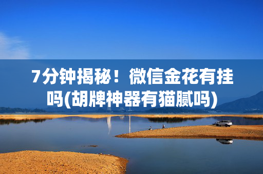 7分钟揭秘！微信金花有挂吗(胡牌神器有猫腻吗)