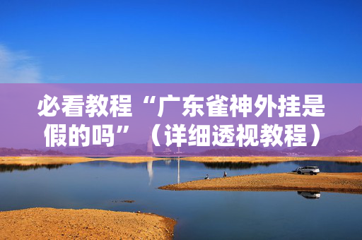 必看教程“广东雀神外挂是假的吗”（详细透视教程）-哔哩哔哩